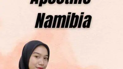 Jasa Pengurusan Apostille Namibia