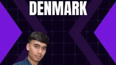 Jasa Visa Investor Denmark