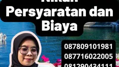 Legalisir Kemenag Surat Nikah Persyaratan dan Biaya