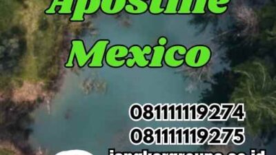 Sistem Apostille Mexico