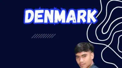 Visa Bisnis Denmark