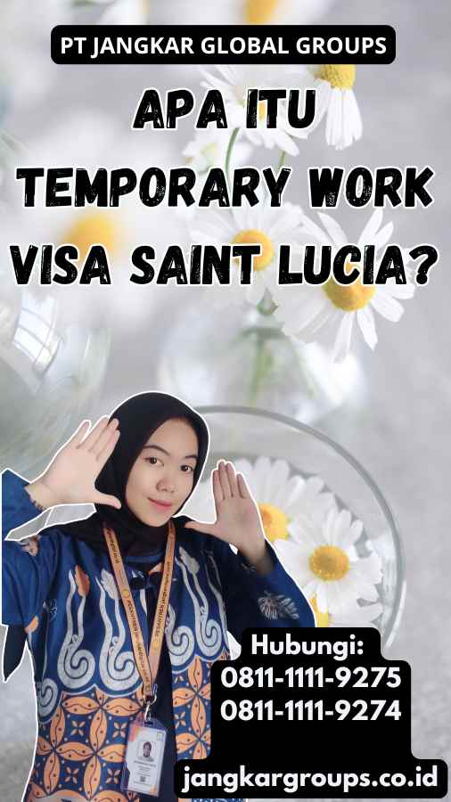 Apa Itu Temporary Work Visa Saint Lucia