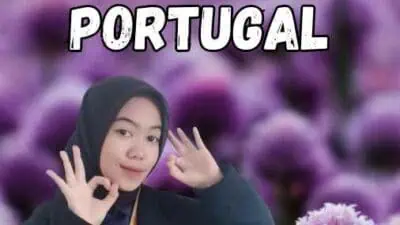 Iklan Jasa Visa Portugal