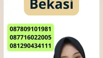 Jasa Perizinan Bisnis Pt Bekasi