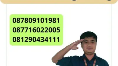 Layanan Pembuatan Pt Online Tangerang