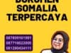 Legalisir dokumen Somalia Terpercaya