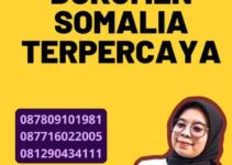 Legalisir dokumen Somalia Terpercaya