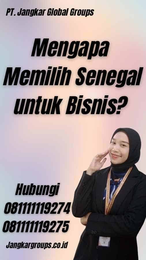 Mengapa Memilih Senegal untuk Bisnis? - Visa Bisnis Senegal