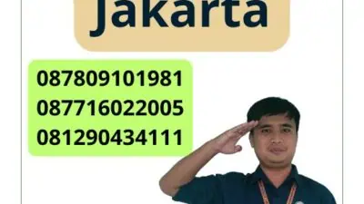 Paket Jasa Pendirian Pt Jakarta