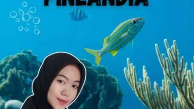 Syarat Pembuatan Visa Finlandia