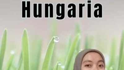 Temporary Resident Hungaria