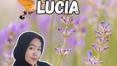 Temporary Work Visa Lucia