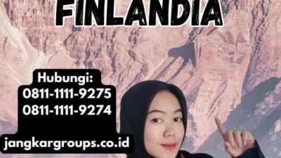 Travel Agent Visa Finlandia