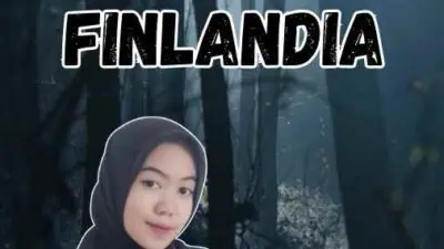 Visa Bisnis Finlandia