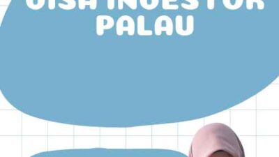 Visa Investor Palau