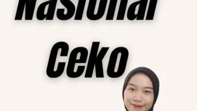 Visa Nasional Ceko