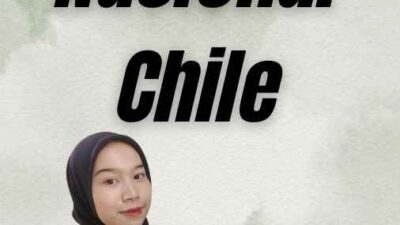 Visa Nasional Chile