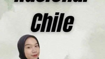 Visa Nasional Chile