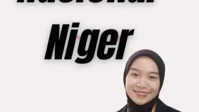 Visa Nasional Niger