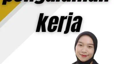 translate pengalaman kerja