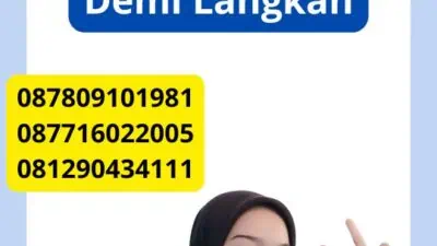 Cara Mengurus Visa Naming Jepang Panduan Langkah Demi Langkah