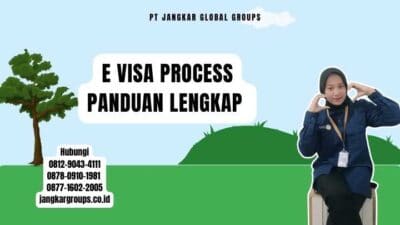 E Visa Process Panduan Lengkap