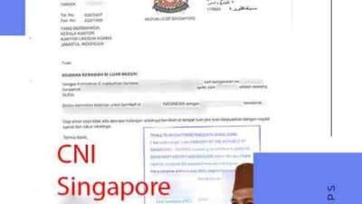 Jasa Apostille Akta Kelahiran 2024 dalam Konvensi Hague