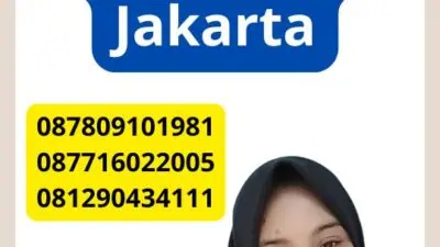 Jasa Paspor Pinangsia Jakarta