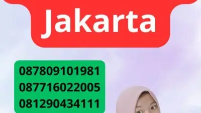 Jasa Visa Bali Mester Jakarta