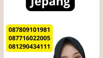 Perbandingan Jenis-Jenis Visa Jepang