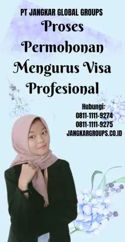 Proses Permohonan Mengurus Visa Profesional