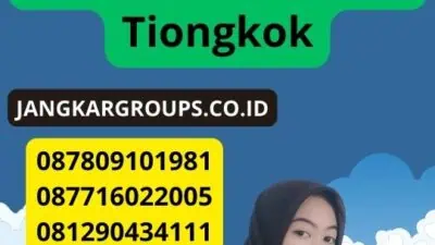 Tips Penting Sebelum Menggunakan Voa Tiongkok