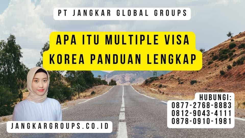Apa Itu Multiple Visa Korea Panduan Lengkap