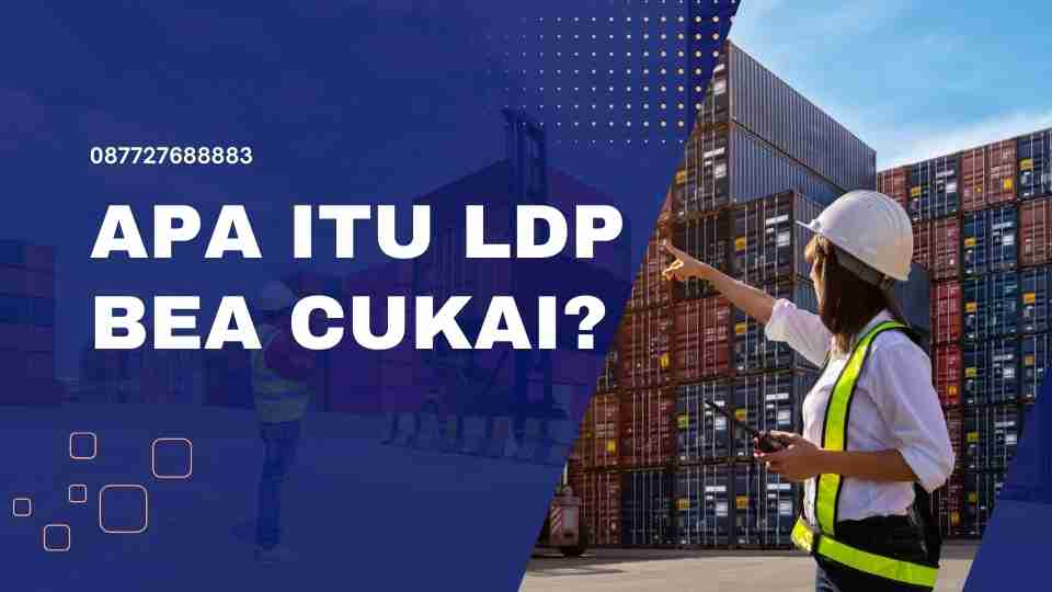 Apa itu LDP bea cukai?