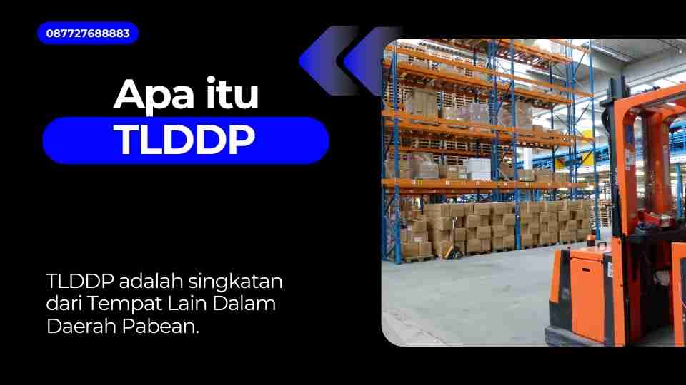 Apa itu TLDDP