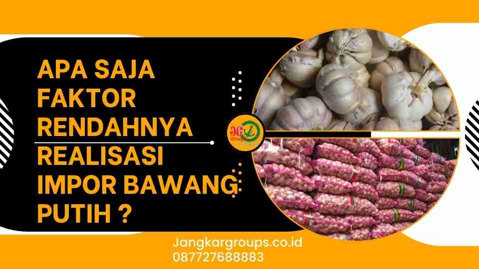 Apa saja faktor rendahnya realisasi impor bawang putih ?