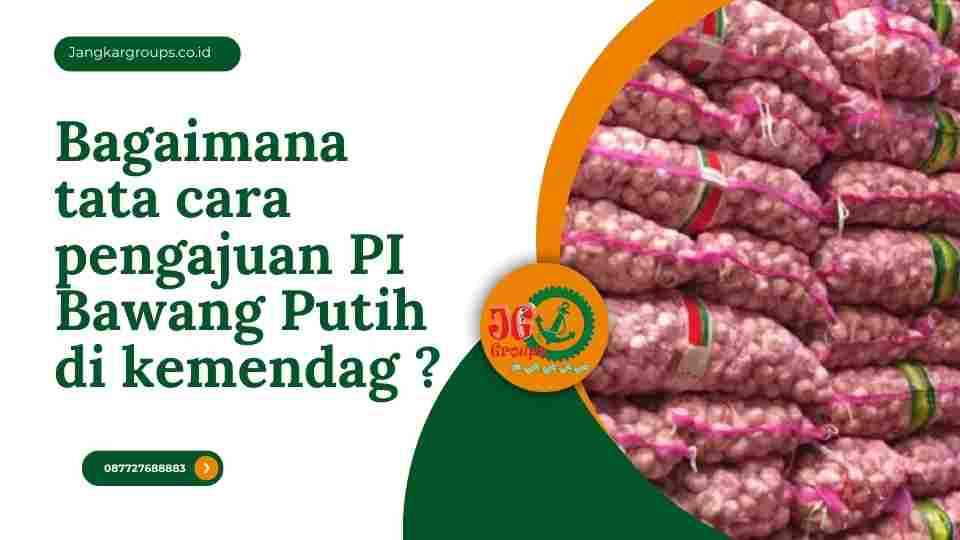 Bagaimana tata cara pengajuan PI Bawang Putih di kemendag