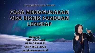 Cara Menggunakan Visa Bisnis Panduan Lengkap