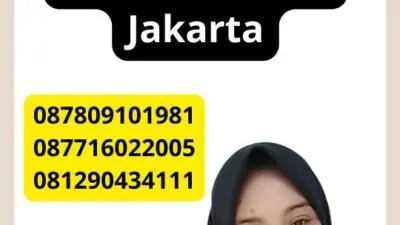 Jasa Penerjemah Tersumpah Cempaka Baru Jakarta