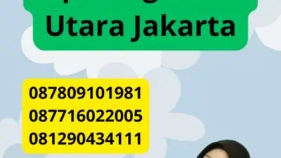 Jasa Penerjemah Tersumpah Cipinang Besar Utara Jakarta