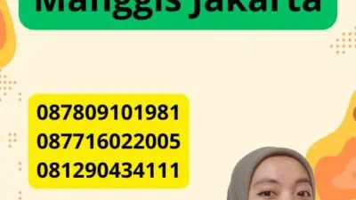 Jasa Penerjemah Tersumpah Pasar Manggis Jakarta