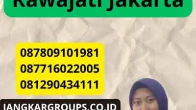 Jasa Penerjemah Tersumpah Rawajati Jakarta