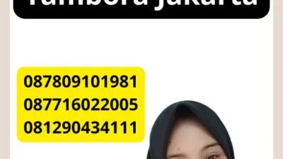 Jasa Penerjemah Tersumpah Tambora Jakarta