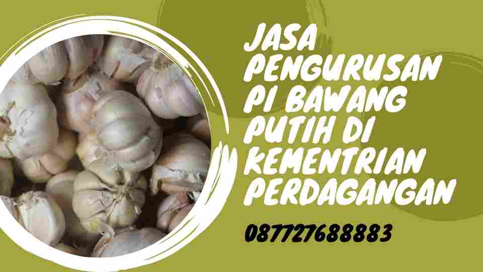 Jasa Pengurusan PI Bawang Putih di Kementrian Perdagangan