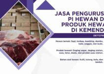 Jasa Pengurusan PI Hewan dan Produk Hewani di Kemendag