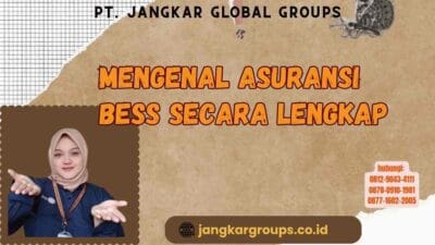 Mengenal Asuransi Bess Secara Lengkap