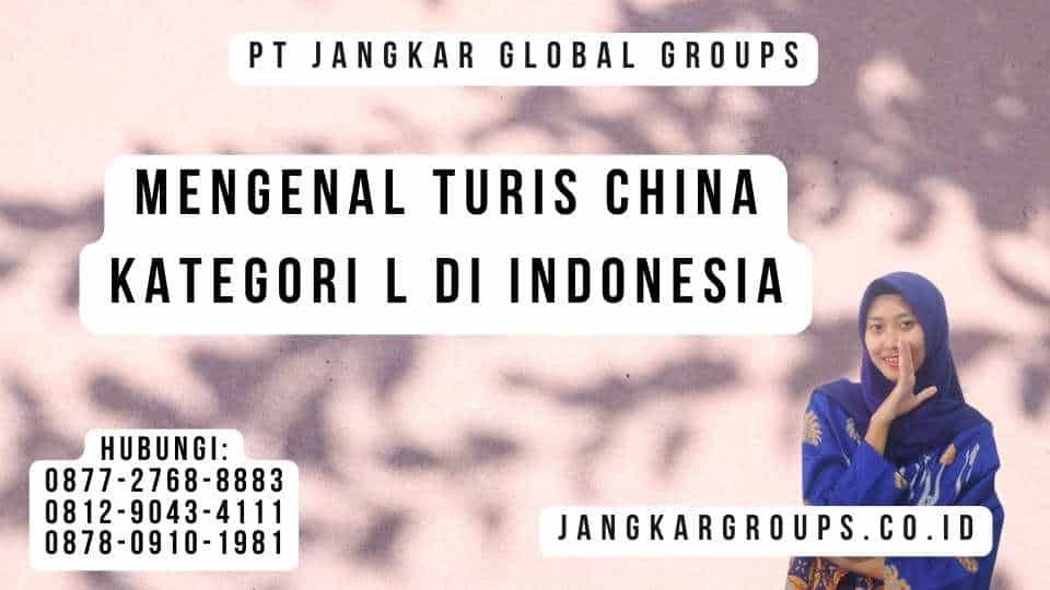 Mengenal Turis China Kategori L di Indonesia