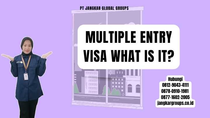 Multiple Entry Visa What Is It