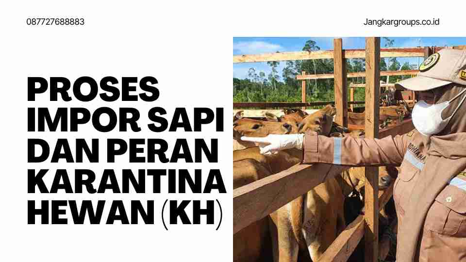 Proses impor sapi dan peran Karantina Hewan (KH)