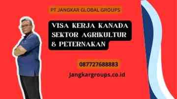 Visa Kerja Kanada Sektor Agrikultur & Peternakan